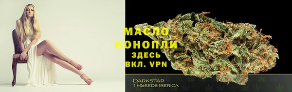 амфетамин Ельня