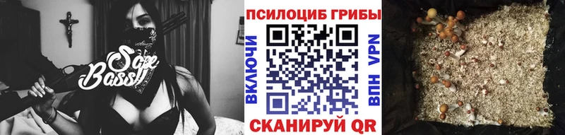 дарнет шоп  Воскресенск  Галлюциногенные грибы мицелий 